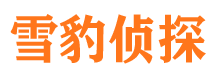 湖口找人公司